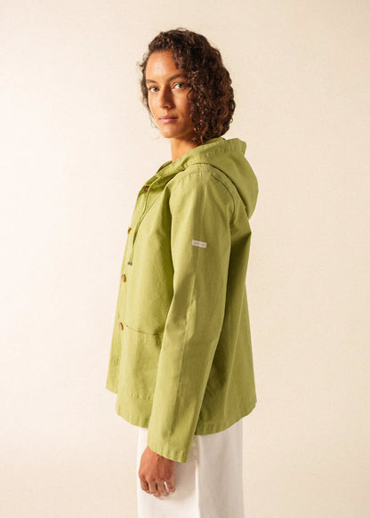 SAGE OLIVE