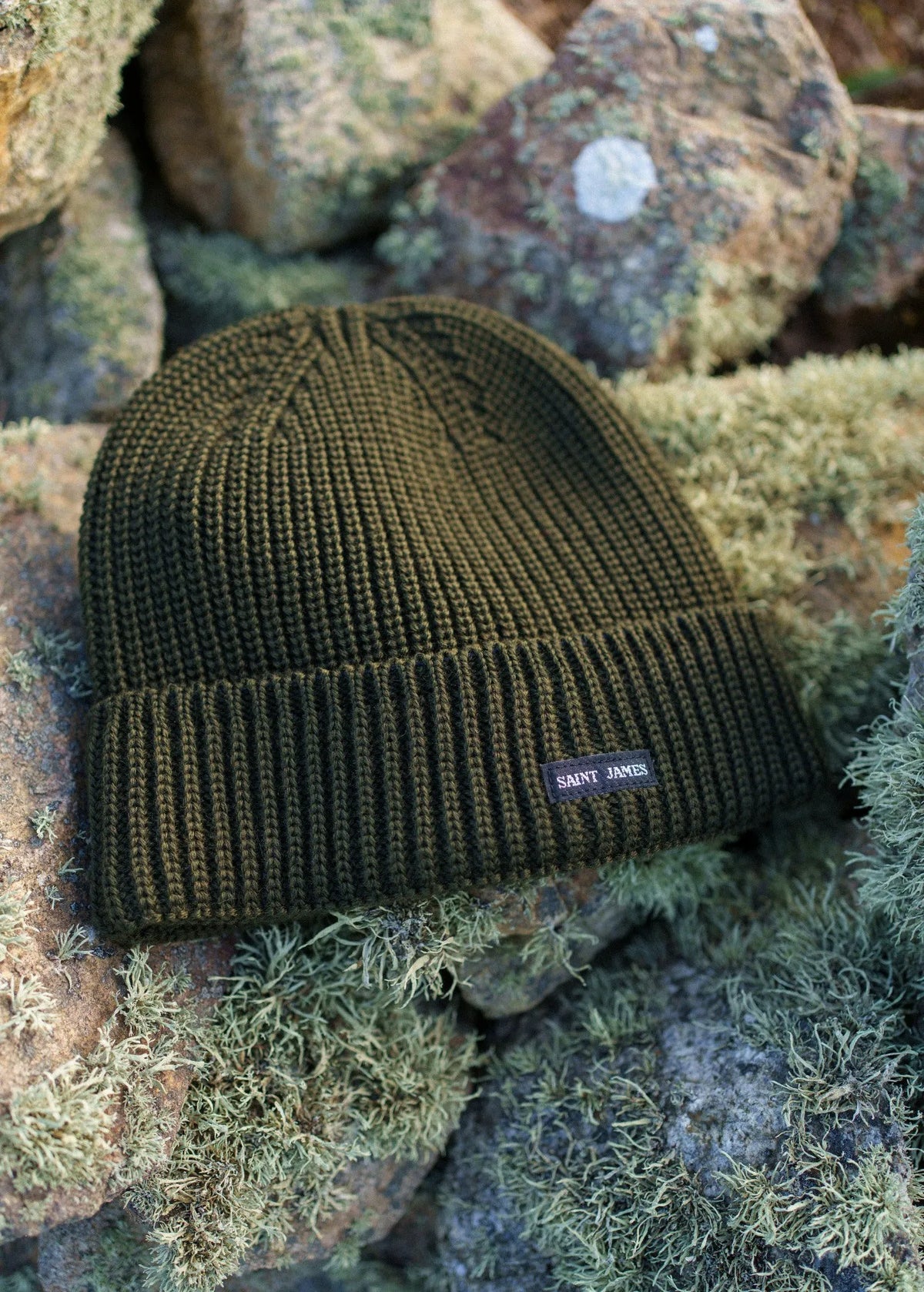 MOSS GREEN